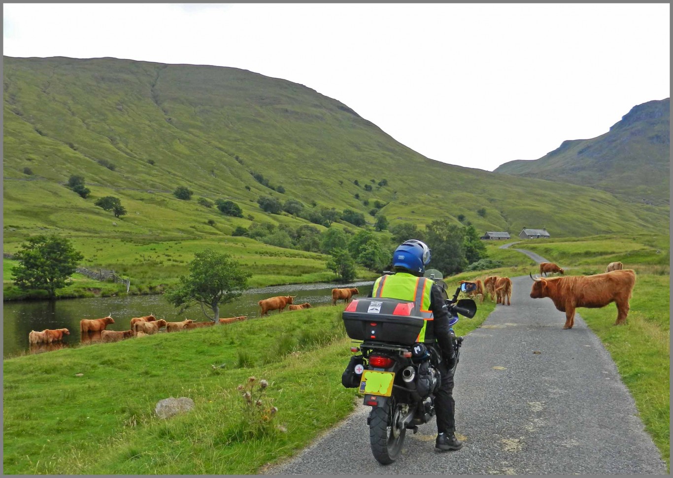 10-160820-Perthshire-Roadblock.jpg