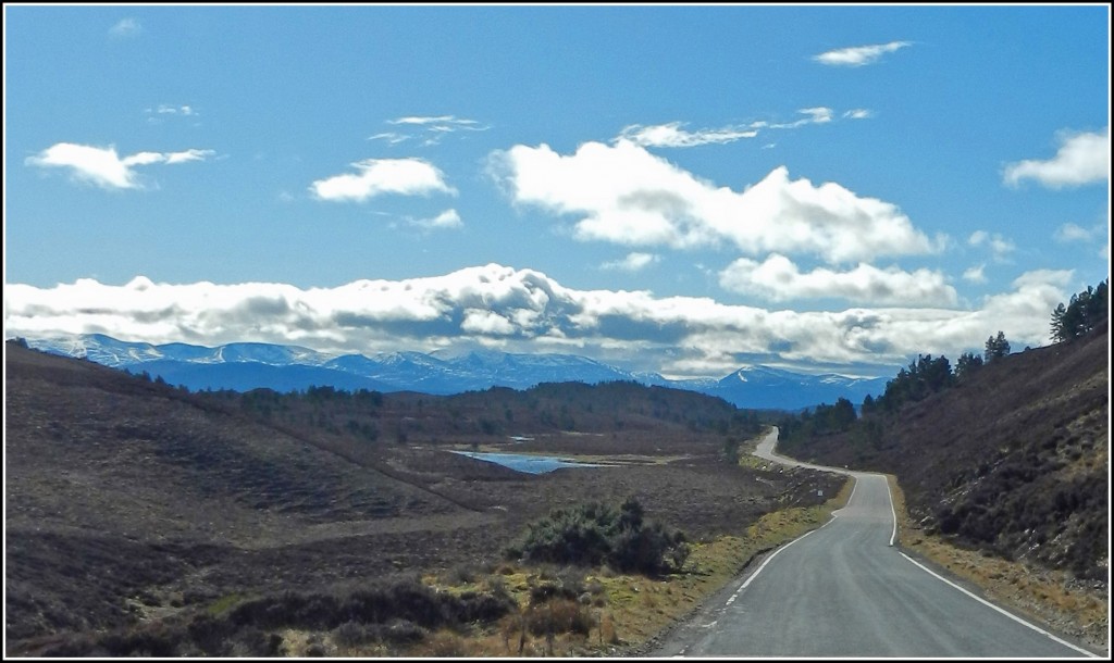 210323-Cairngorms.jpg