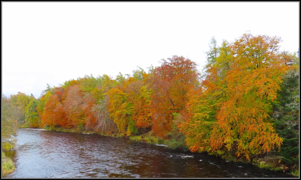 SpeysideAutumnColours.jpg